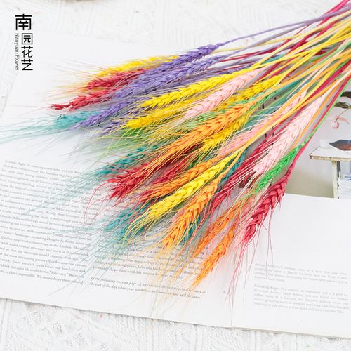 麦穗与永生小麦干花花束 让自然之美点亮家居与开业庆典的高级感